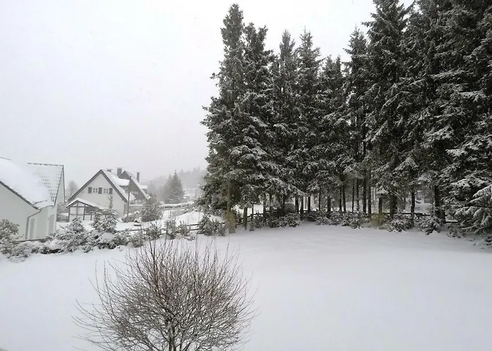 Kaeppchen Apartment Winterberg